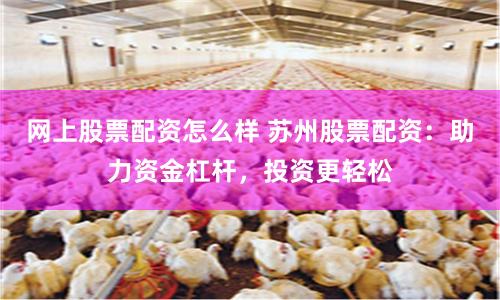 网上股票配资怎么样 苏州股票配资：助力资金杠杆，投资更轻松