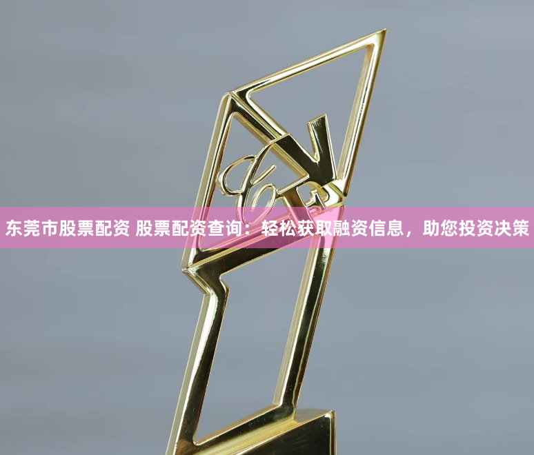 东莞市股票配资 股票配资查询：轻松获取融资信息，助您投资决策