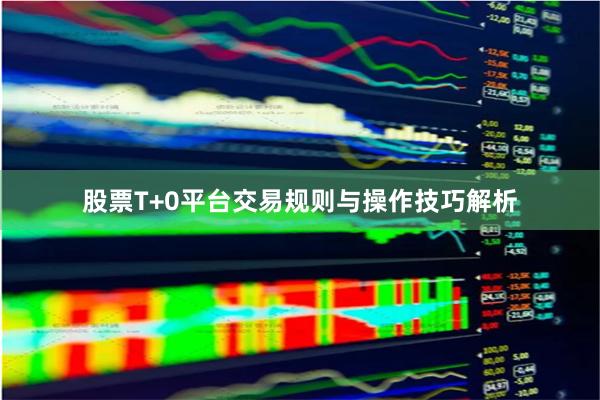 股票T+0平台交易规则与操作技巧解析