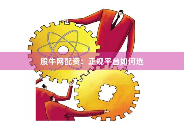 股牛网配资：正规平台如何选